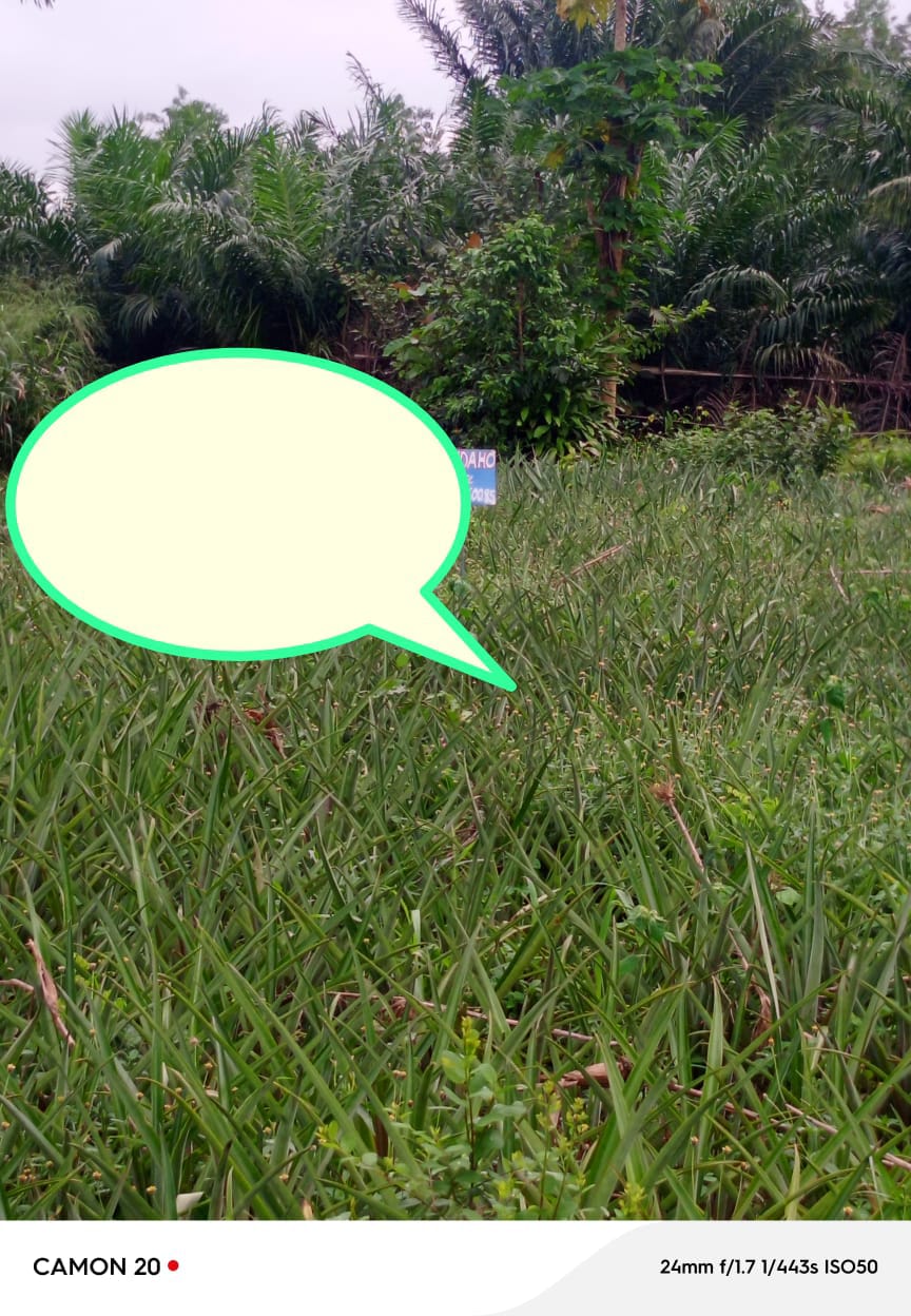 Photo de Achat et vente de parcelle sécurisées